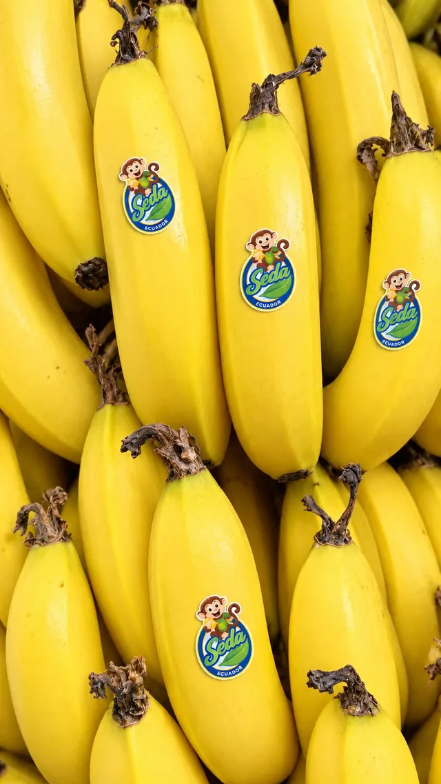 Racimos de banano amarillo con etiquetas SEDA